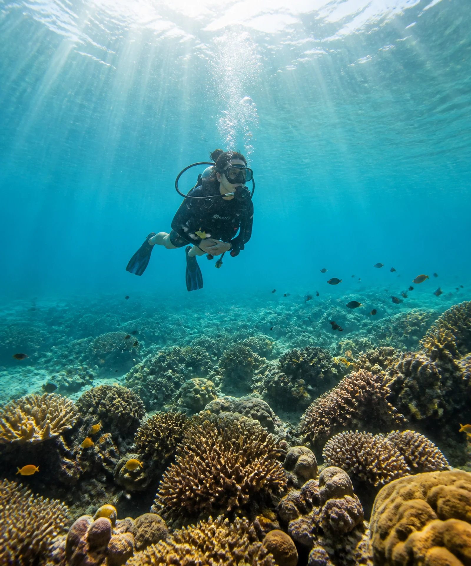 Diving in Koh Lipe: A Beginner’s Guide 5 featured diving koh lipe